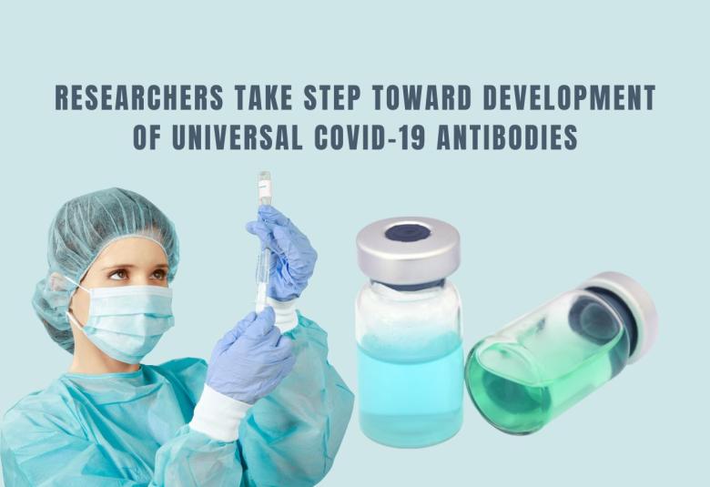 Researchers take step toward development of universal COVID-19 antibodies