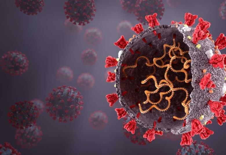 Antiviral-Resistant Variants of SARS-CoV-2 Can Emerge in Immunocompromised People