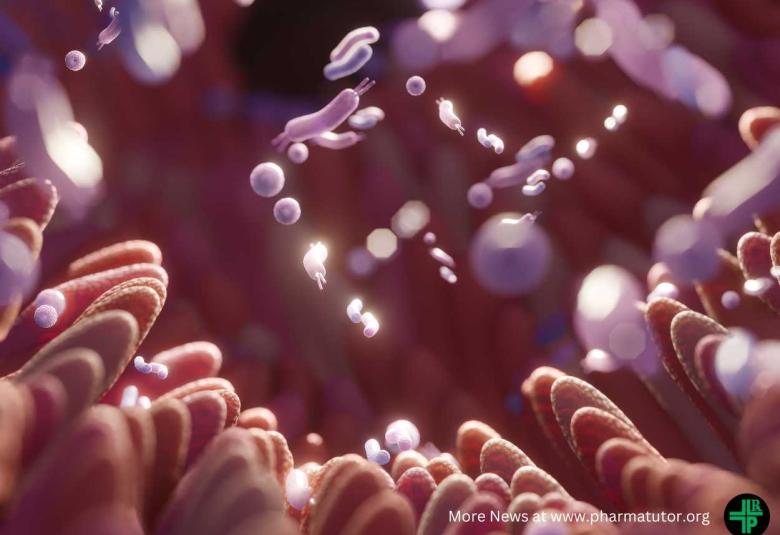 Natural probiotic discovered in UK newborns' microbiomes