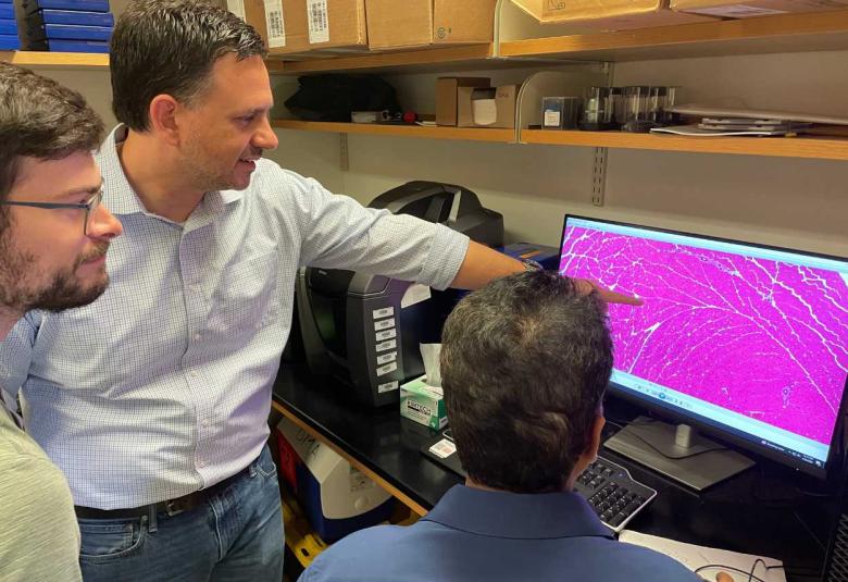 New Discovery Enables Gene Therapy for Muscular Dystrophies, Other Disorders