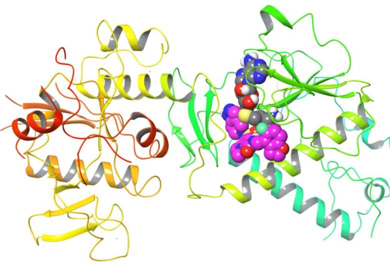 A new class of antivirals could help prevent future pandemics