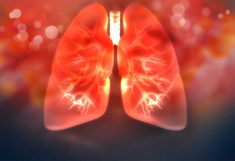 Identifying a proliferating repairman for tissue in damaged lungs