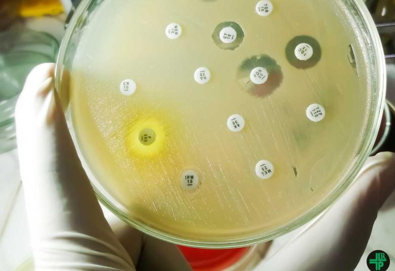 Diabetes Can Drive the Evolution of Antibiotic Resistance
