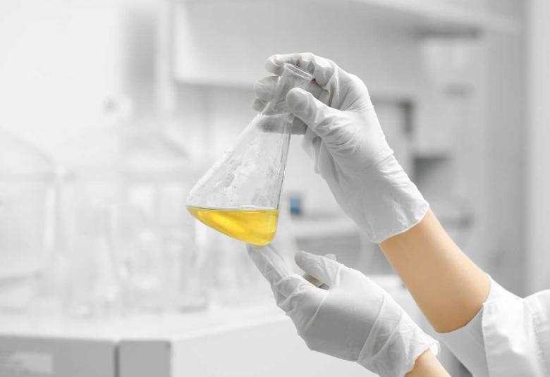 Job for M.Pharm or Doctoral Degree in Pharma at National Chemical Laboratory