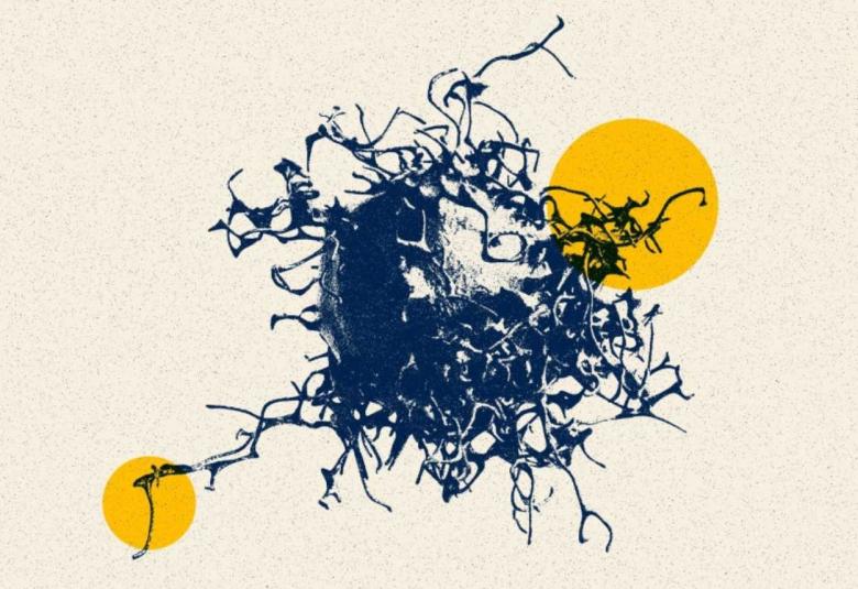 Researchers engineer a herpes virus to turn on T cells for immunotherapy