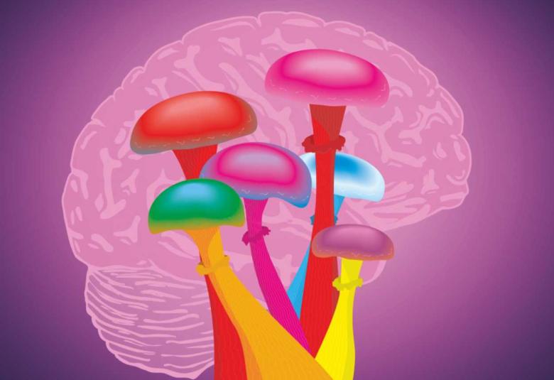 Clinical research on psychedelics gets a boost from new study