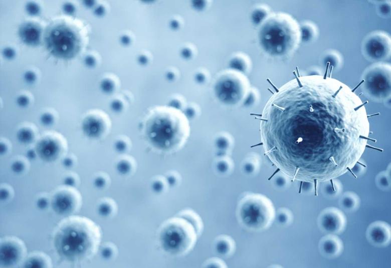 Researchers identify new antibodies against current and future coronaviruses