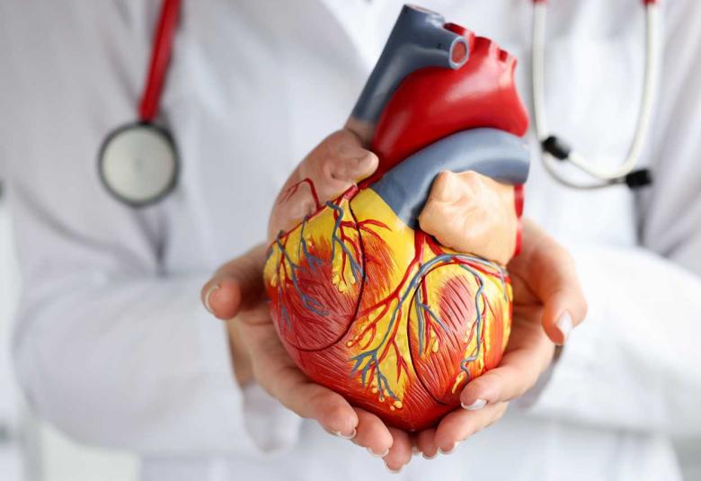 SGLT2 Inhibitors linked to reduced risk of Atrial Fibrillation in type 2 Diabetes
