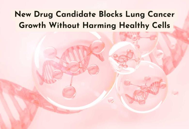 New Drug Candidate Blocks Lung Cancer Growth Without Harming Healthy Cells