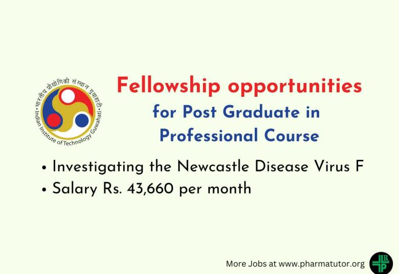 Applications are invited for Fellowship at Indian Institute of Technology