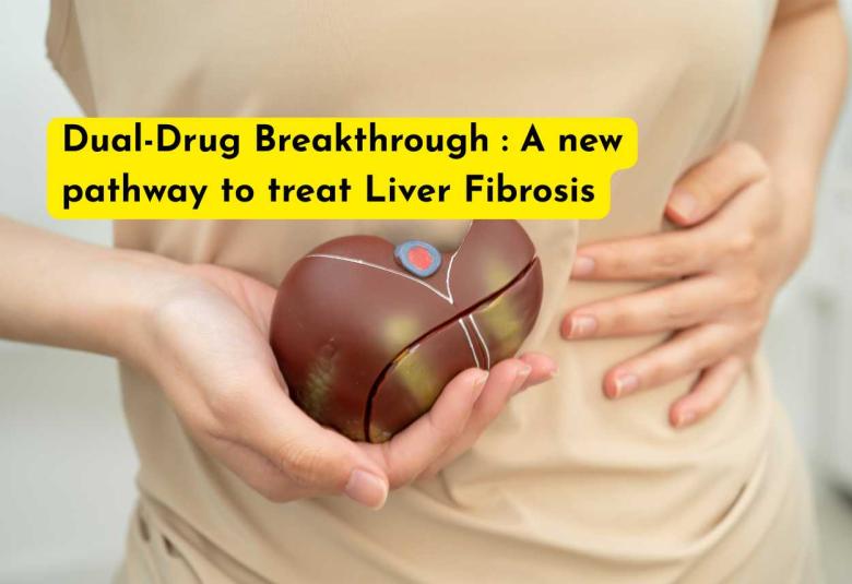 Dual-Drug Breakthrough : A new pathway to treat Liver Fibrosis