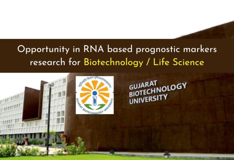 Research Opportunity in RNA-Based Prognostic Markers at GBU for Life Sciences and Biotechnology