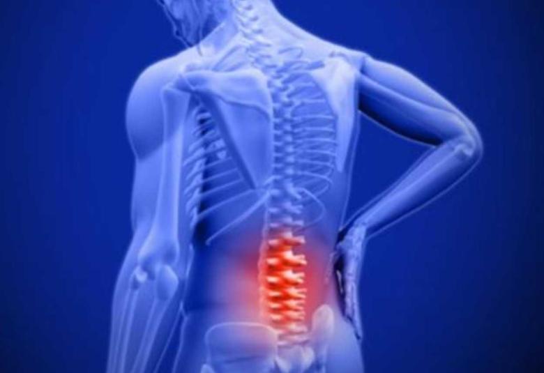 Blocking pain at the source : Hormone therapy rewires nerve signals in aging spines