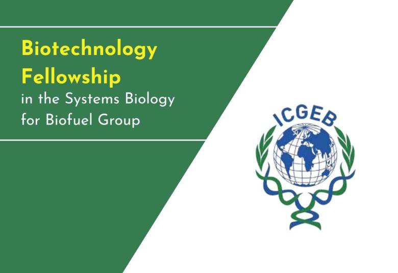 Biotechnology Fellowship in the Systems Biology for Biofuel Group, ICGEB