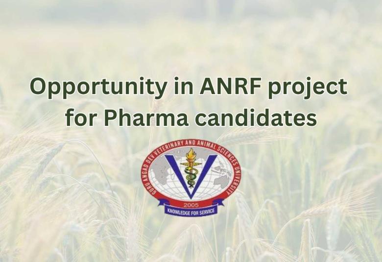 Opportunity in ANRF project for Pharma candidates at GADVASU