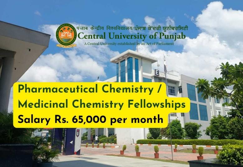 Pharmaceutical Chemistry / Medicinal Chemistry Fellowships at Central University of Punjab