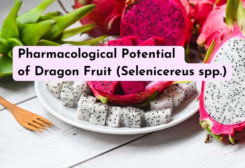 Pharmacological Potential of Dragon Fruit (Selenicereus spp.)