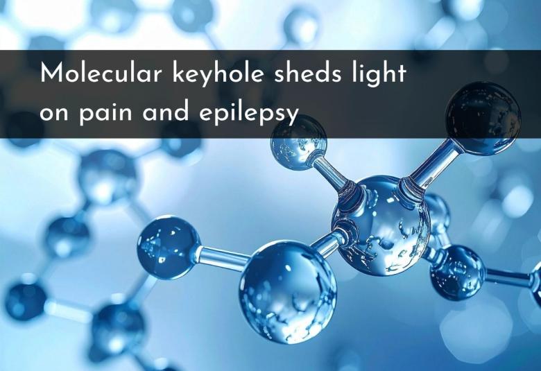 Molecular keyhole sheds light on pain and epilepsy