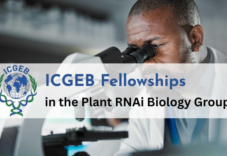 ICGEB Fellowships in the Plant RNAi Biology Group
