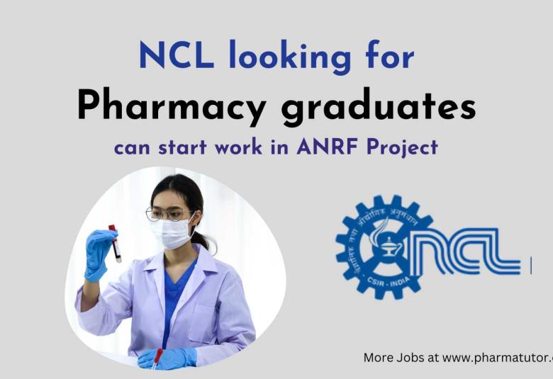 NCL Invites application from Pharmacy graduates