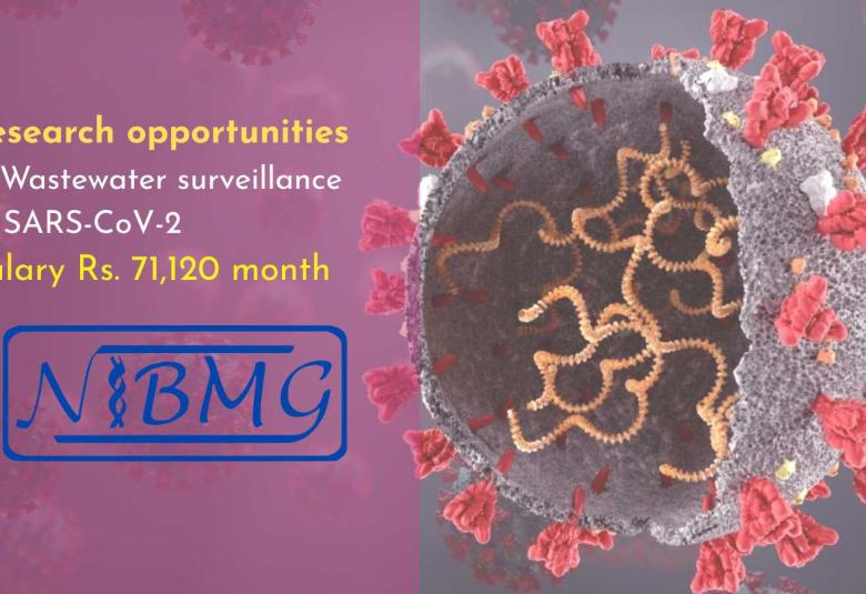 Research opportunities in Wastewater surveillance of SARS-CoV-2 at NIBMG
