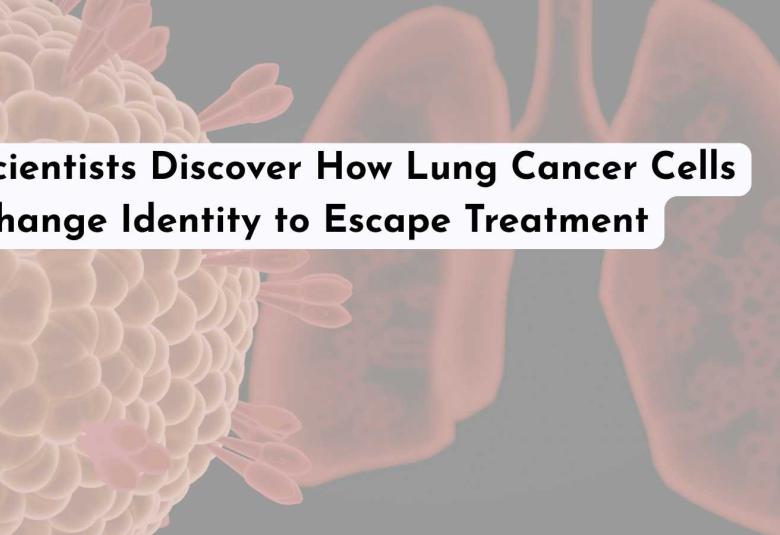 Scientists Discover How Lung Cancer Cells Change Identity to Escape Treatment