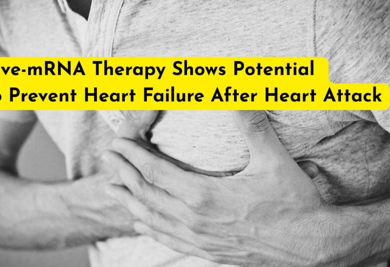 Five-mRNA Therapy Shows Potential to Prevent Heart Failure After Heart Attack
