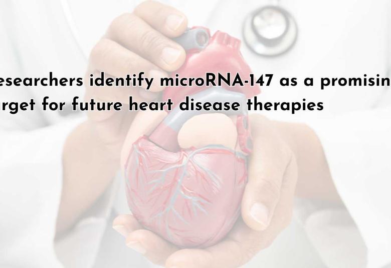 Researchers identify microRNA-147 as a promising target for future heart disease therapies