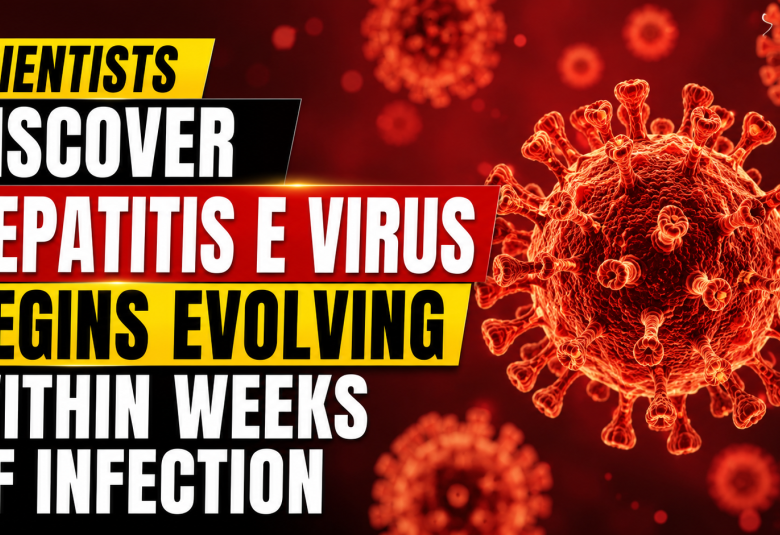Scientists Discover Hepatitis E Virus Begins Evolving Within Weeks of Infection