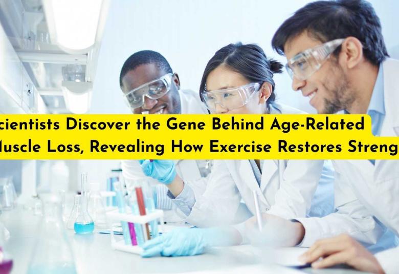 Scientists Discover the Gene Behind Age-Related Muscle Loss, Revealing How Exercise Restores Strength