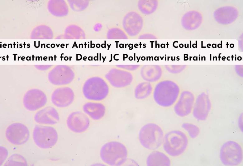 Scientists Uncover Antibody Targets That Could Lead to First Treatment for Deadly JC Polyomavirus Brain Infection