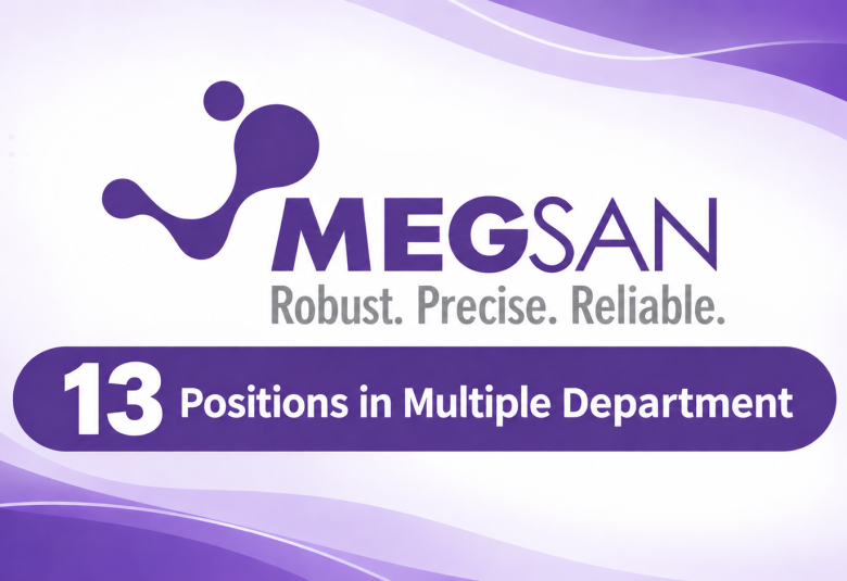 13 Positions in Multiple Department at Megsan