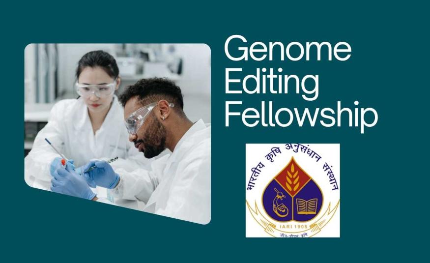Genome Editing Fellowship at Indian Agricultural Research Institute