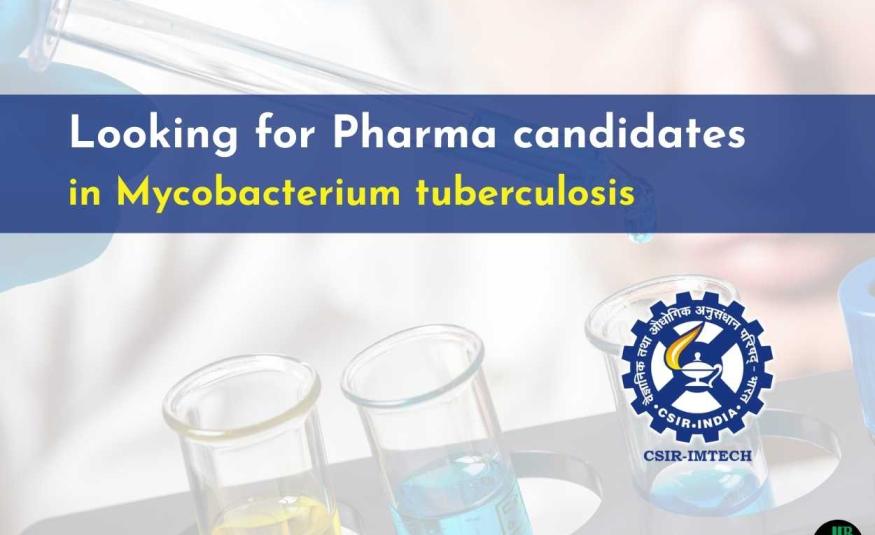IMTECH looking for Pharma candidates in Mycobacterium tuberculosis