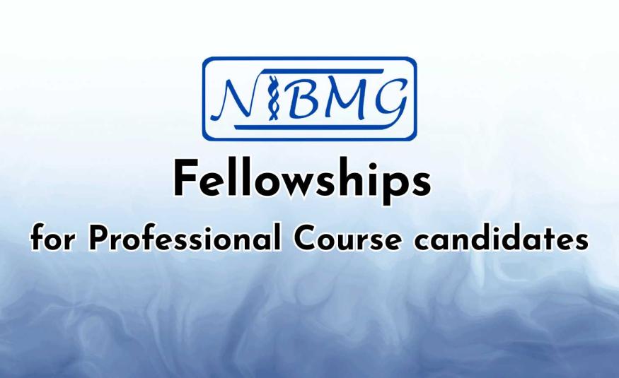 NIBMG Fellowships for Professional Course candidates