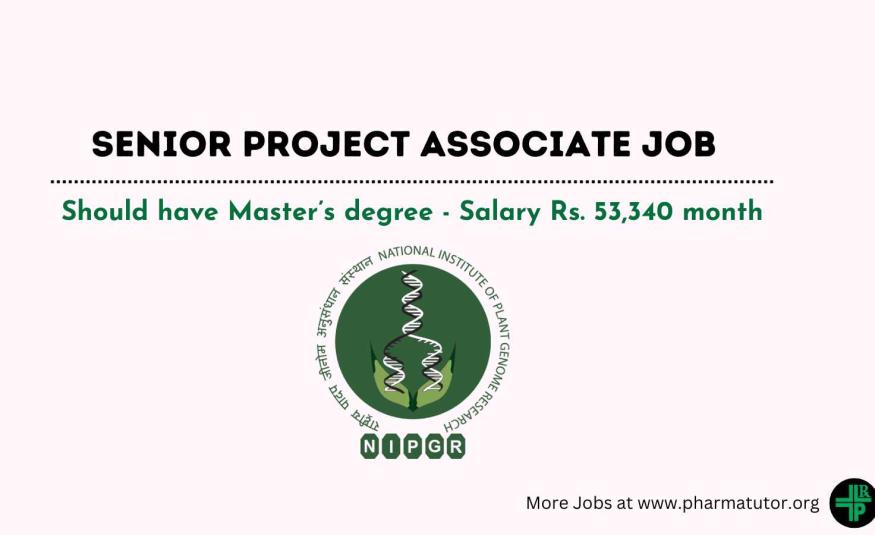 Senior Project Associate Job at NIPGR