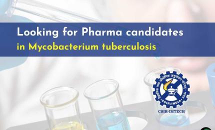 IMTECH looking for Pharma candidates in Mycobacterium tuberculosis