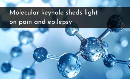 Molecular keyhole sheds light on pain and epilepsy