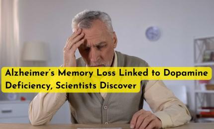 Alzheimer’s Memory Loss Linked to Dopamine Deficiency, Scientists Discover