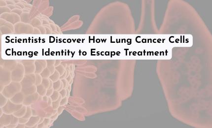 Scientists Discover How Lung Cancer Cells Change Identity to Escape Treatment