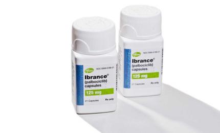 FDA Expands IBRANCE Use : Pfizer Secures Landmark Approval for HR+/HER2+ Metastatic Breast Cancer