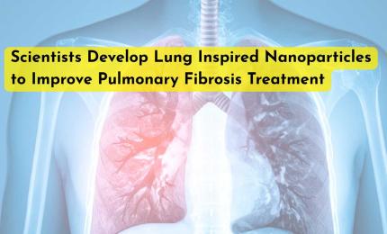 Scientists Develop Lung Inspired Nanoparticles to Improve Pulmonary Fibrosis Treatment