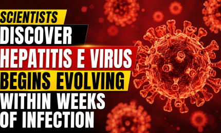 Scientists Discover Hepatitis E Virus Begins Evolving Within Weeks of Infection