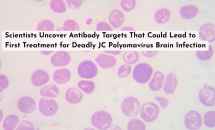 Scientists Uncover Antibody Targets That Could Lead to First Treatment for Deadly JC Polyomavirus Brain Infection