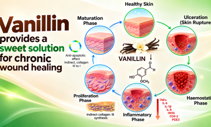 Vanillin provides a sweet solution for chronic wound healing