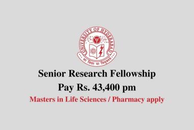 Senior Research fellowship at University of Hyderabad