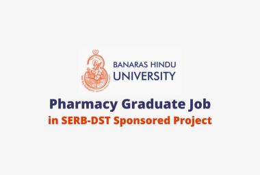 Job for Pharmacy Graduate at Banaras Hindu University