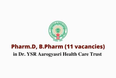 Job for Pharm.D, B.Pharm in Dr. YSR Aarogyasri Health Care Trust