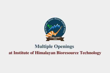 Multiple Openings at Institute of Himalayan Bioresource Technology
