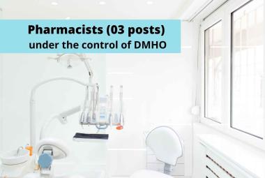 DMHO Jobs